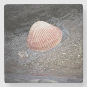 Sea Shell in Sand Stone Coaster