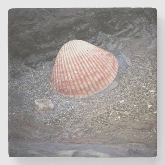 Sea Shell in Sand Stone Coaster (Front)