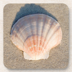 Sea Shell Laying On Sandy Beach Coaster