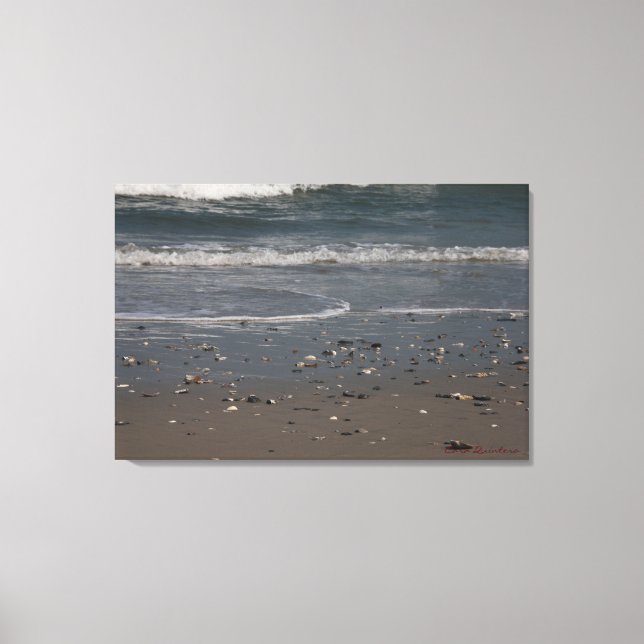Sea Shell Littered Beach Canvas Print (Front)