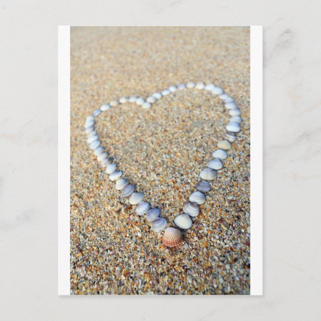 Sea shell love heart on sandy beach postcard (Front)