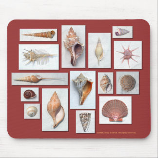 Sea Shell Mouse Pad