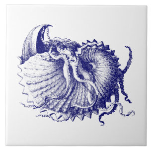 Sea shell Nautilus Blue & White Tile