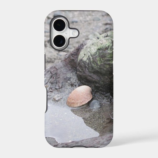 Sea Shell on Driftwood (Back)