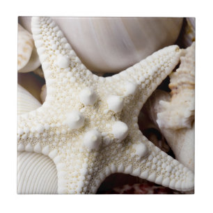 Sea Shell Starfish Background - Beach Shells Tile