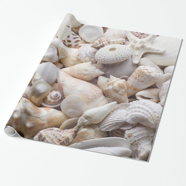 Sea Shell & Starfish Background - Beach Shells Wrapping Paper (Unrolled)