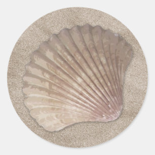 Sea Shell Stickers