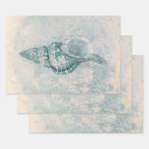 Sea Shell Teal Beige Vintage Ocean Beach Texture Wrapping Paper Sheet
