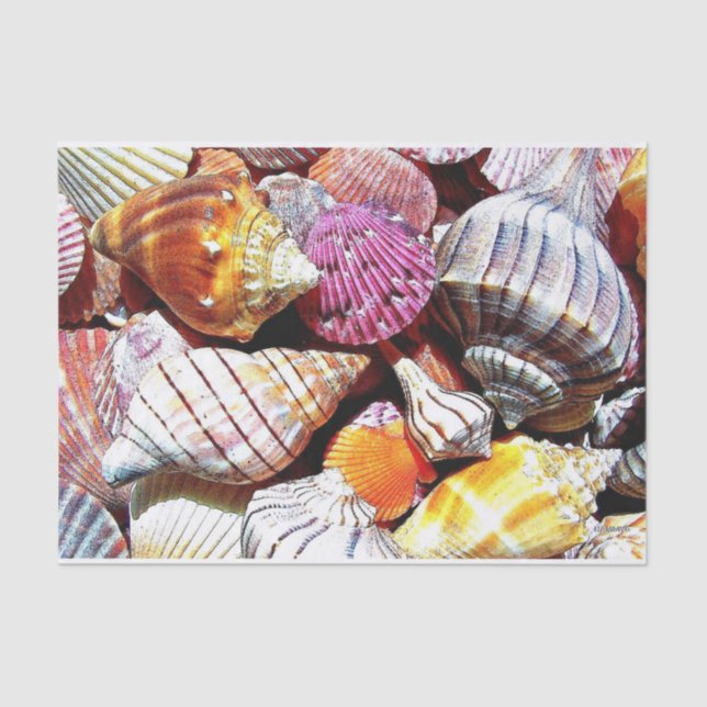 Sea Shell Tissue Paper - HAMbyWG (Front)