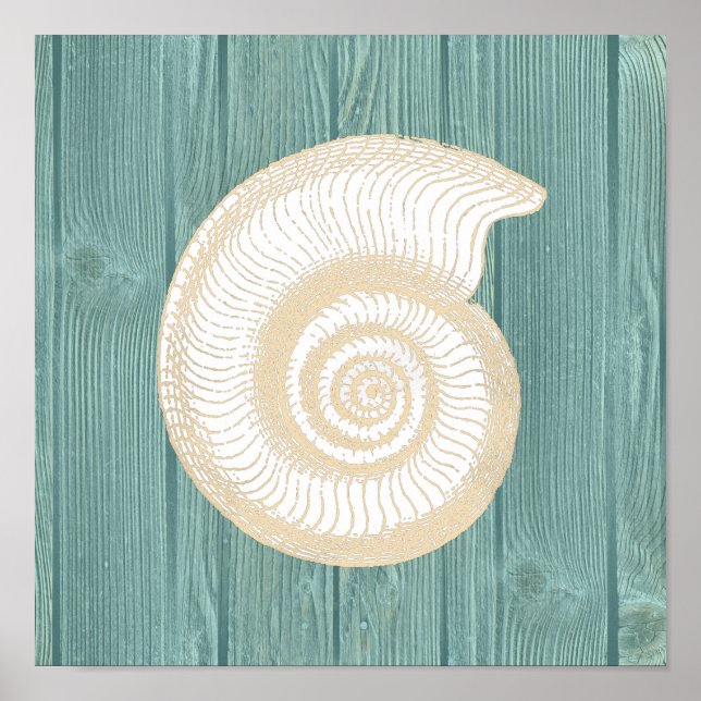 Sea Shell Vintage Aqua Wood Beach Poster (Front)