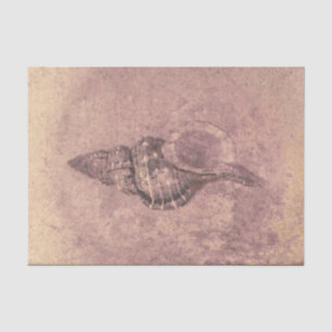 Sea Shell Vintage Ocean Beach Grunge Texture Tissue Paper