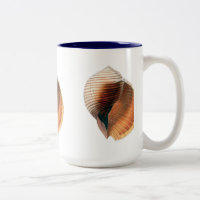 Sea Shell Vintage
