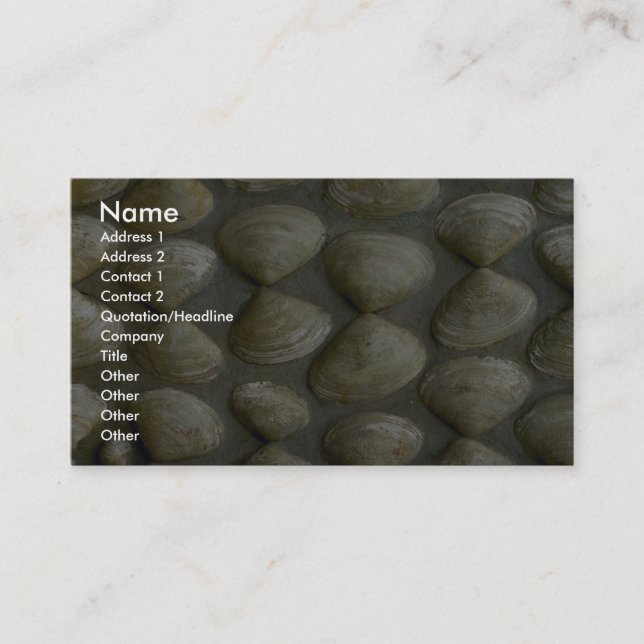 Sea-shell wall business card (Front)