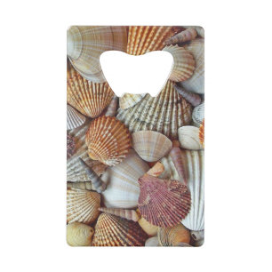 Sea Shells