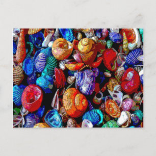 Sea Shells Abstract 2009 Postcard