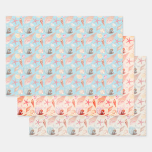 Sea Shells And Cones Set Of 3 Wrapping Paper Sheet