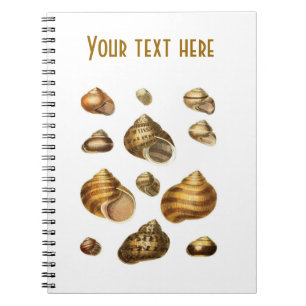 Sea shells and maritime theme, brown ocean shell notebook