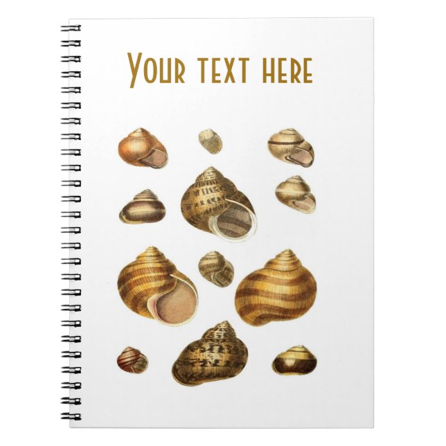 Sea shells and maritime theme, brown ocean shell notebook (Front)