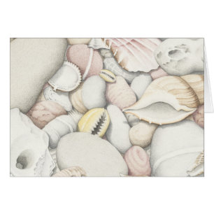 Sea Shells and Pebbles in Coloured Pencil