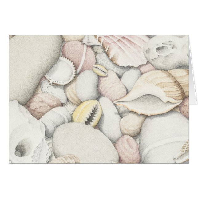 Sea Shells and Pebbles in Coloured Pencil (Front Horizontal)