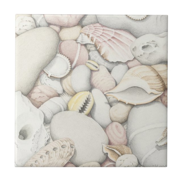 Sea Shells and Pebbles in Coloured Pencil Tile (Front)