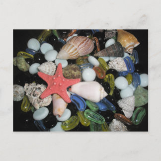 Sea Shells and Rocks Postcard