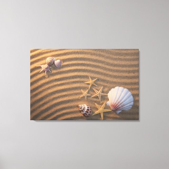 Sea Shells And Starfish Canvas Print (Front)