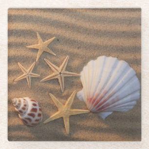 Sea Shells And Starfish Glass Coaster