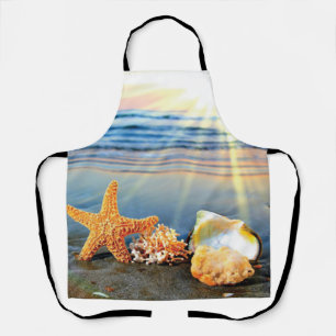 Sea shells and starfish on beach apron