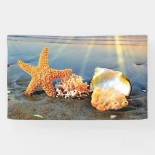 Sea shells and starfish on beach banner