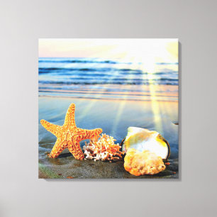 Sea shells and starfish on beach canvas print