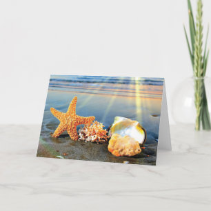 Sea shells and starfish on beach holiday card