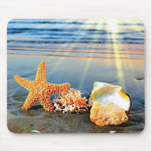 Sea shells and starfish on beach mouse mat