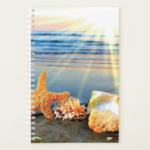 Sea shells and starfish on beach planner