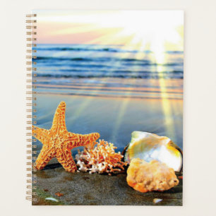 Sea shells and starfish on beach planner