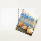 Sea shells and starfish on beach