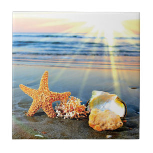 Sea shells and starfish on beach tile