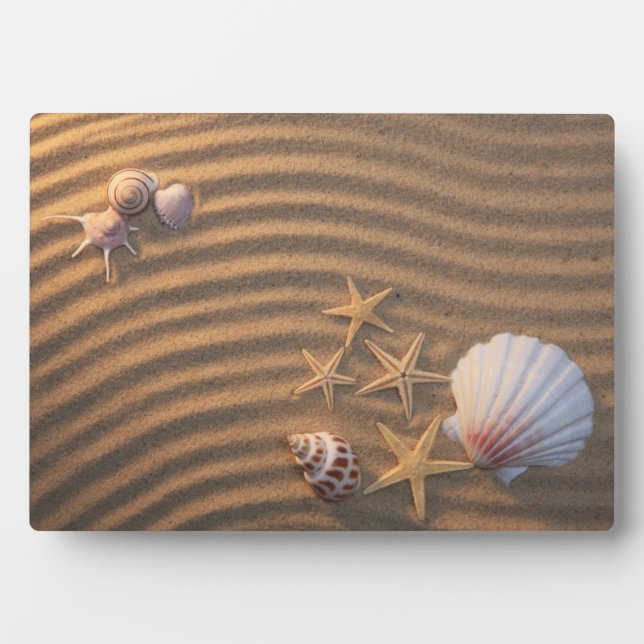 Sea Shells And Starfish Plaque (Front)