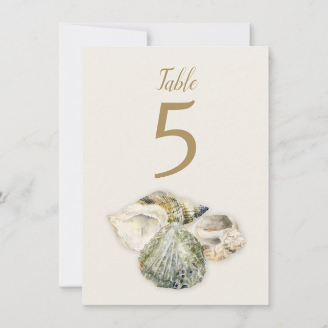 Sea shells art beach wedding table numbers (Front)