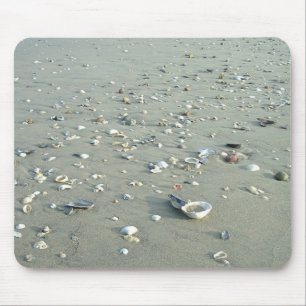 Sea Shells at Imperial Beach, California Mouse Mat