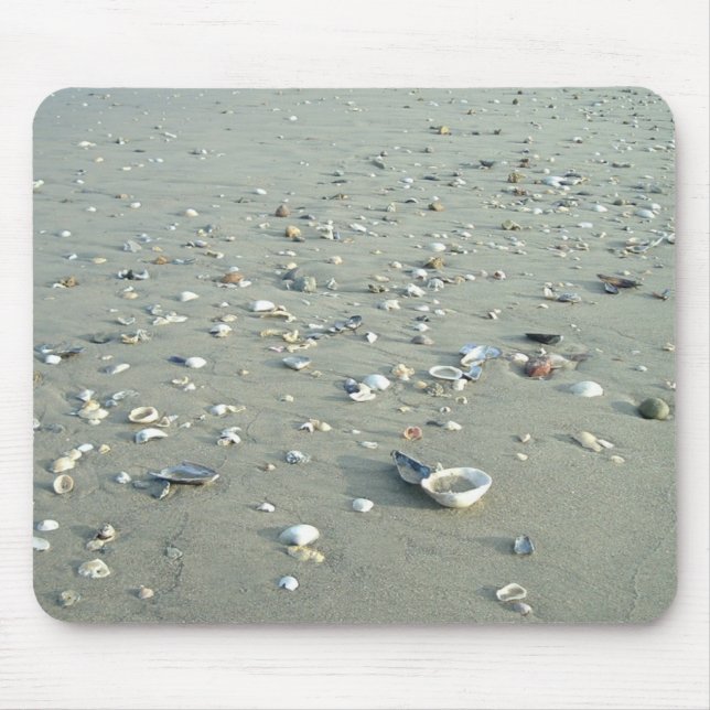 Sea Shells at Imperial Beach, California Mouse Mat (Front)