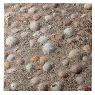 Sea shells at the beach tile