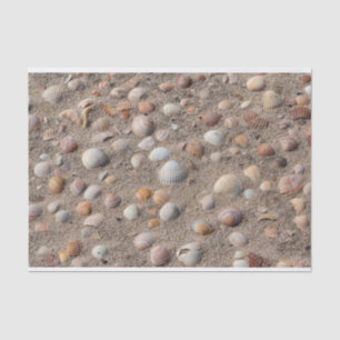 Sea shells at the beach tissue paper
