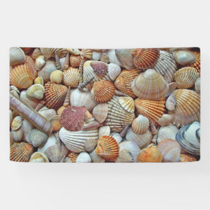 Sea Shells Banner