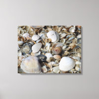 Sea Shells Beach Scene Macro Photo Wall Art