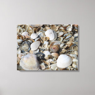 Sea Shells Beach Scene Macro Photo Wall Art