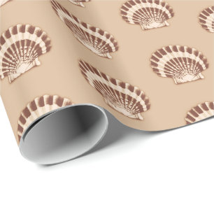 Sea shells - brown and beige wrapping paper