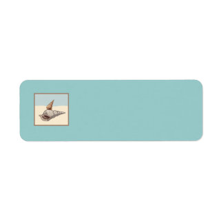 sea shells browns greys blues graphics ocean beach