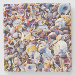 Sea Shells By The Sea Shore Stone Coaster