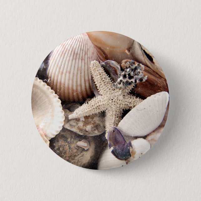 Sea Shells by the Shore 6 Cm Round Badge (Front)